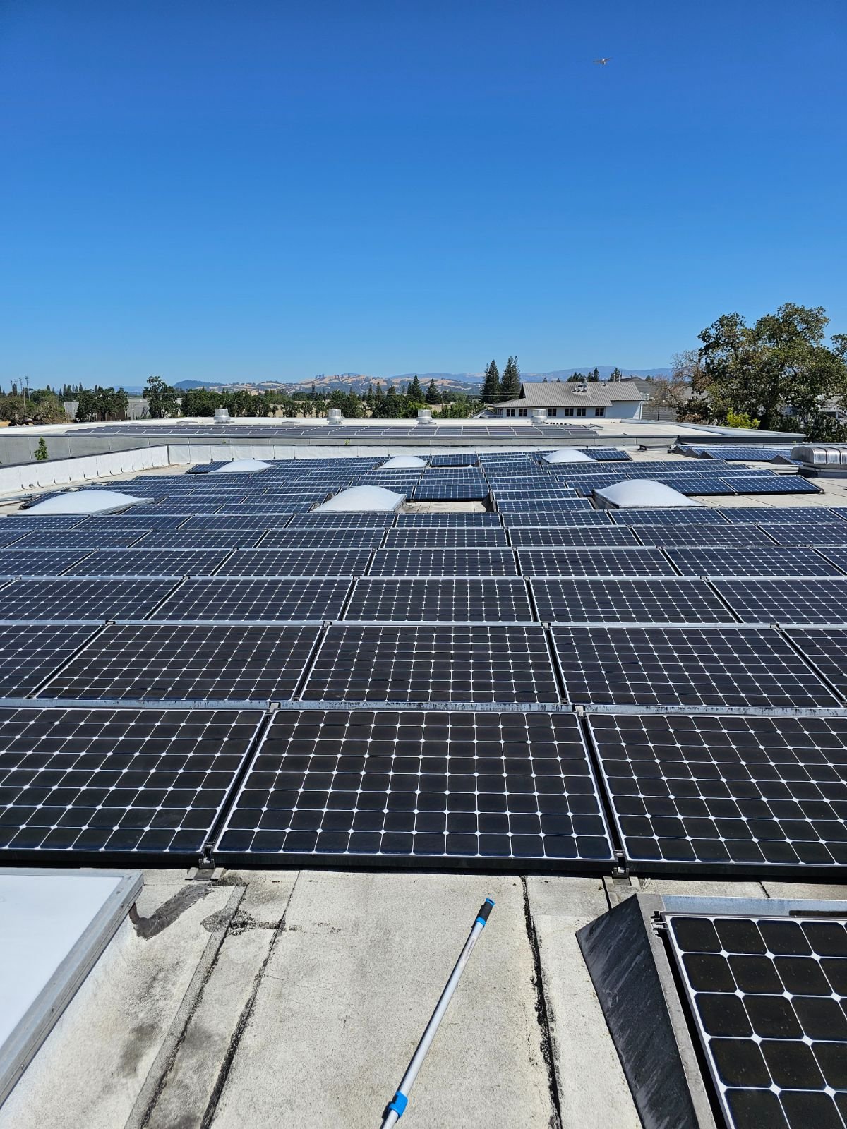 Window & solar cleaning