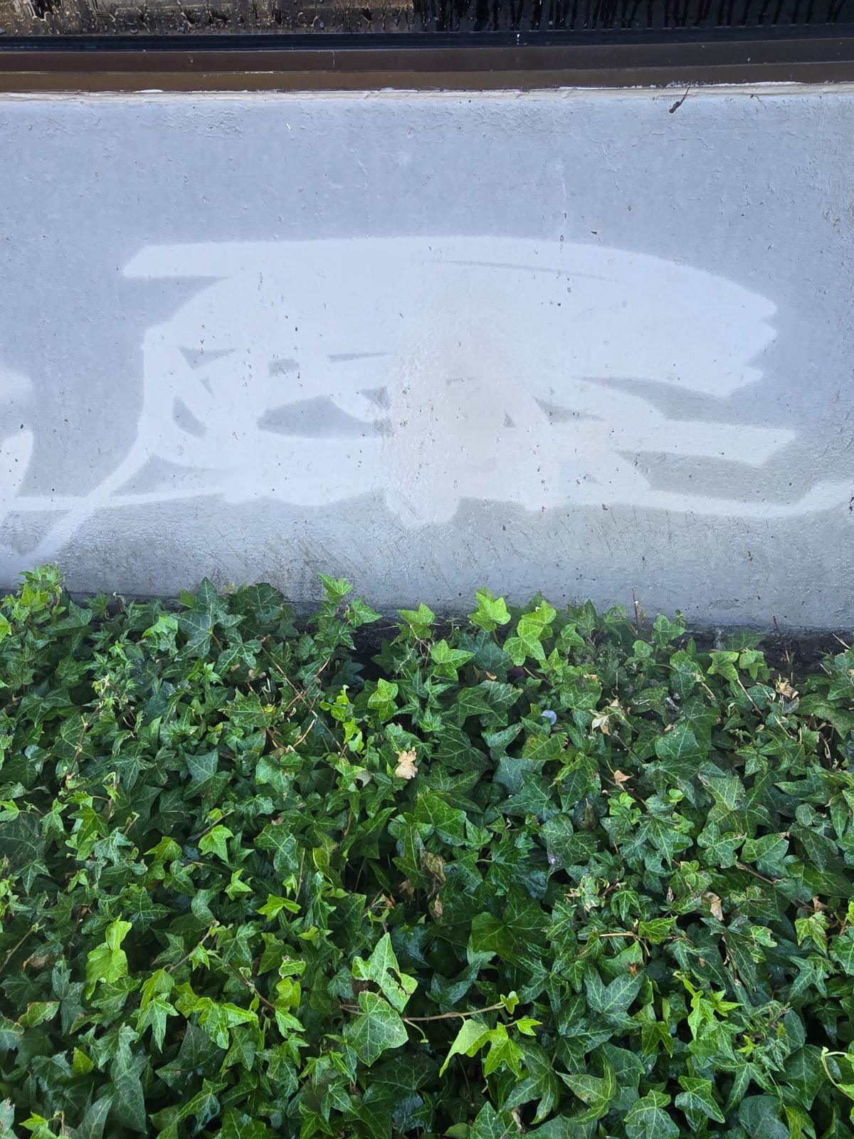 Graffiti removal